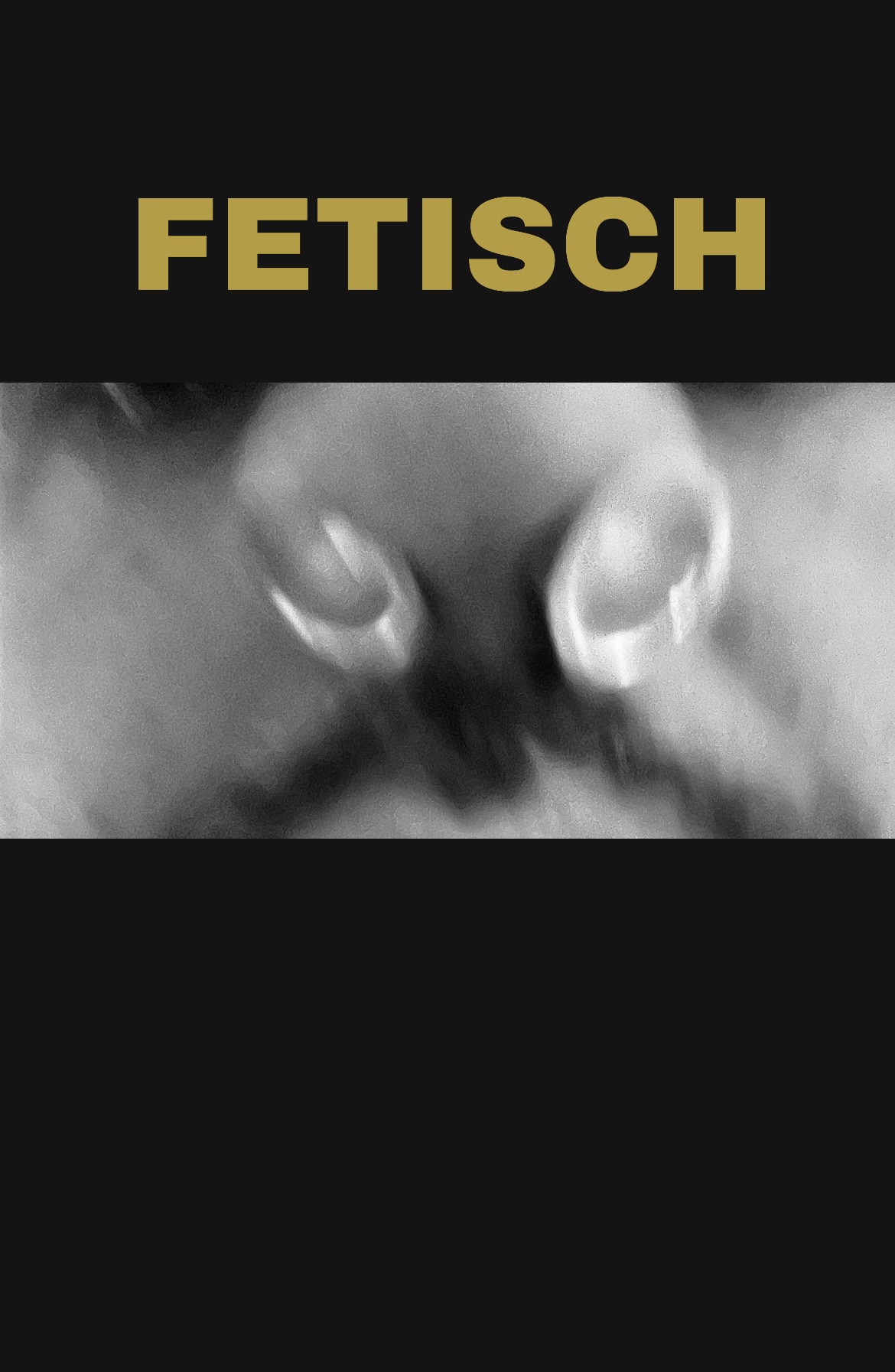 FETISCH (Shop Art-No. Fetisch) | Serdar Somuncu